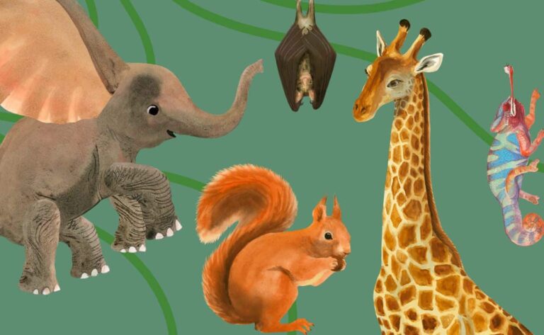 Finančný chodník v zoo