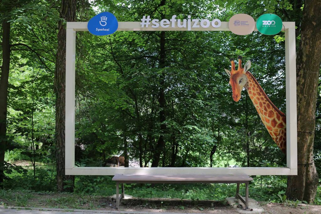 Veľký drevený rám s lavičkou pod ním zobrazuje hashtag #sefijzoo v zalesnenej oblasti; z pravej strany do rámu nahliada žirafa.